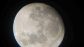 The moon