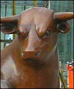Bull